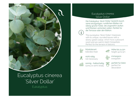 Eucalyptus Etikett.png
