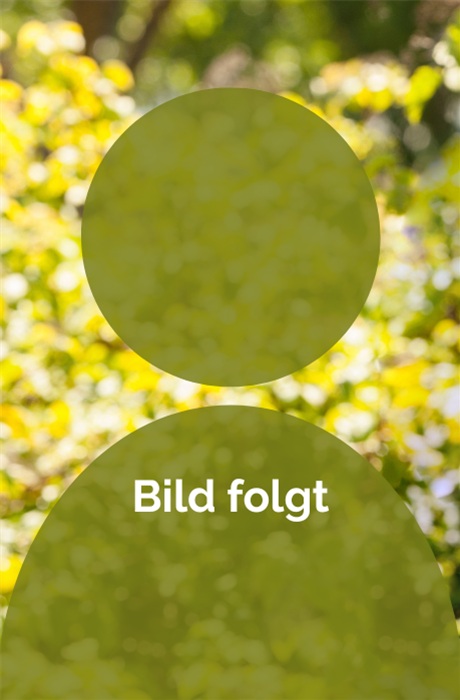 Cord von Seggern Image